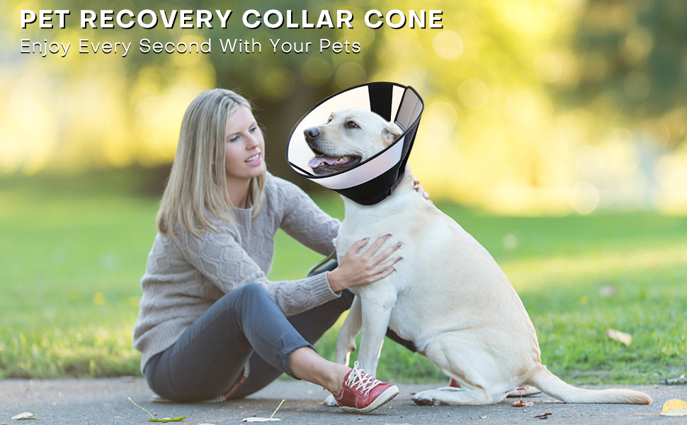 ROMANTIC BEAR Dog Cone Collar Large,Soft Dog Cone With Adjustable