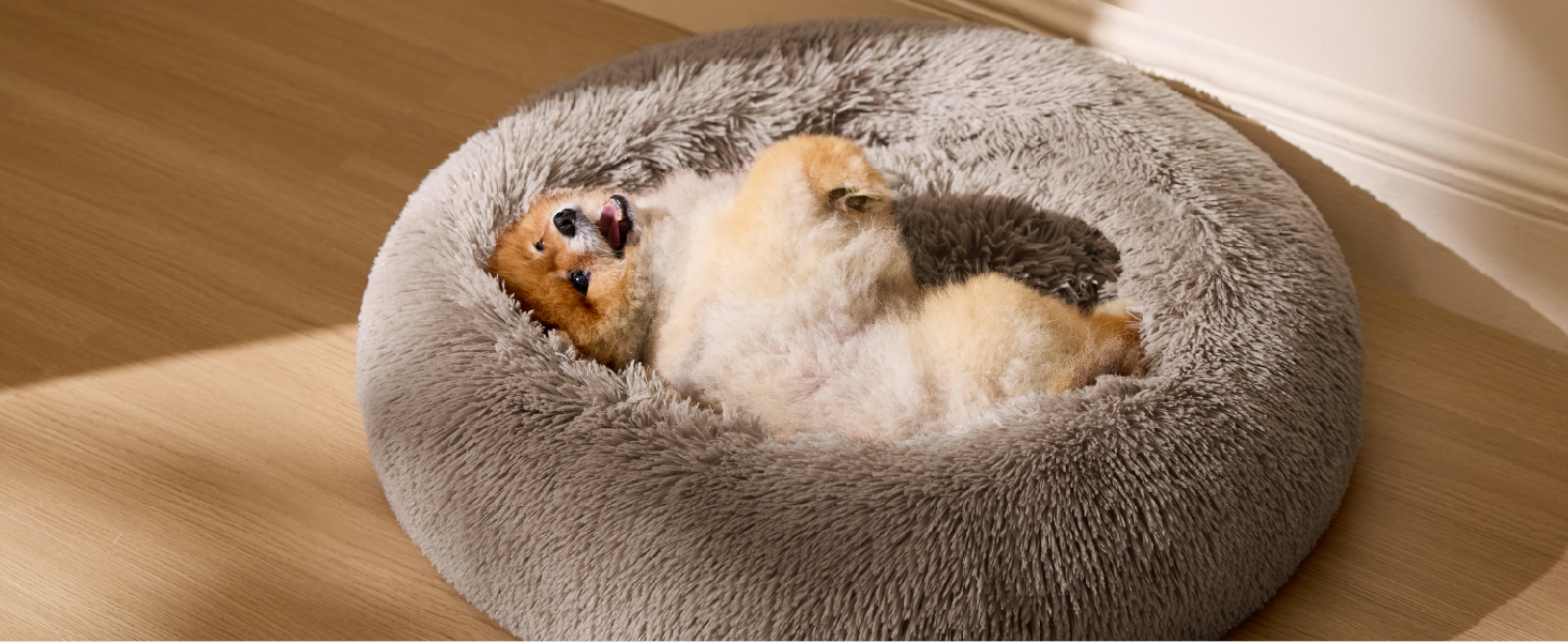 Tierbett- oder Kissensequenz, die einen kleinen Hund zeigt, der bequem in einem runden, grauen Plüschbett vor beigem Hintergrund ruht.