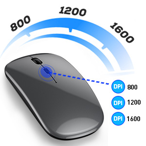 Noiseless mouse with adjustable DPI