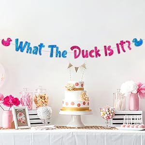 gender reveal decorations