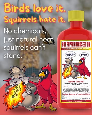 spicy bird seed to prevent squirrels squirrel proof bird seed
