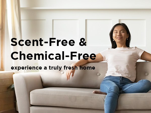 closet refresher odor eliminator charcoal bamboo air purifying bags bamboo odor absorber charcoal