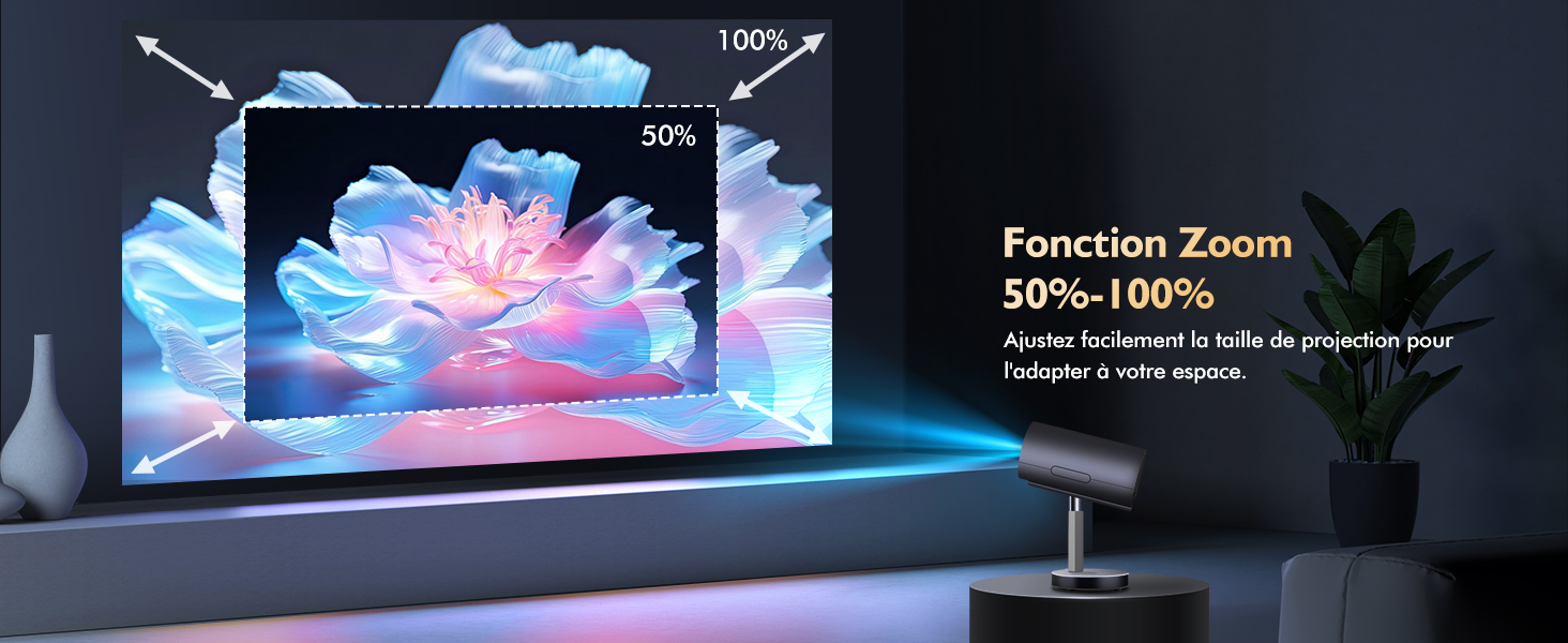 Démonstration d'un écran de télévision montrant la fonctionnalité de zoom, avec une image de fleur bleue et rose éclatante sur plusieurs écrans.