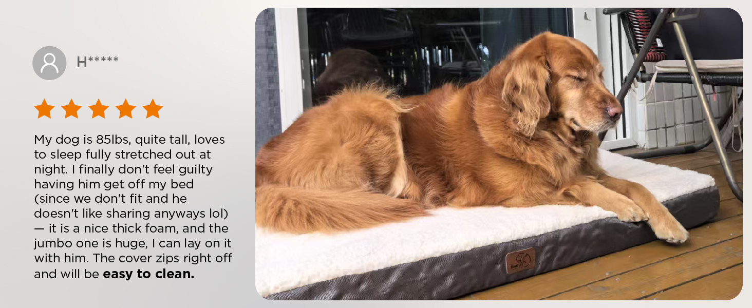dog bed