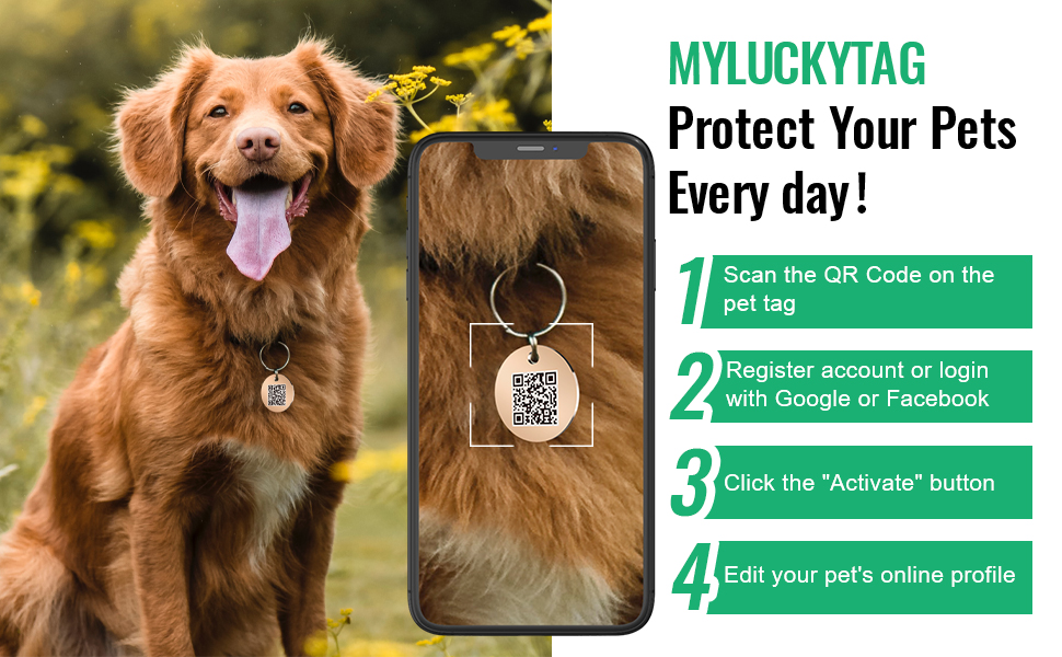 Custom Text Round Stainless Steel Pet ID Tags