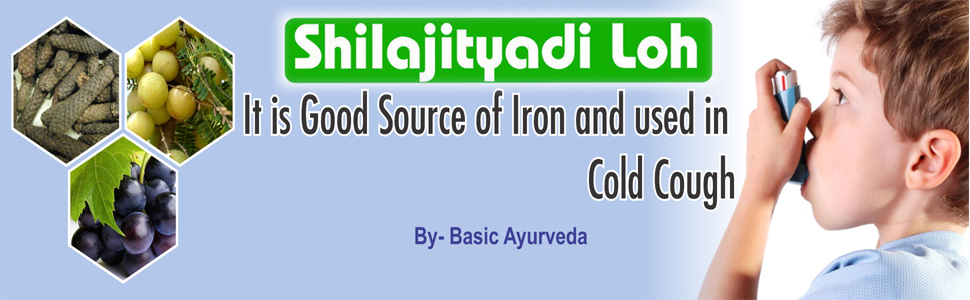 good source of iron shilajityadi loh tablet