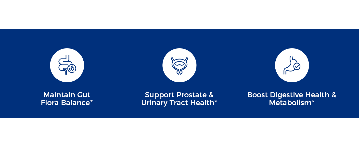 NewRhythm Men's Probiotic supports metabolism, prostate, urinary, and digestive health*