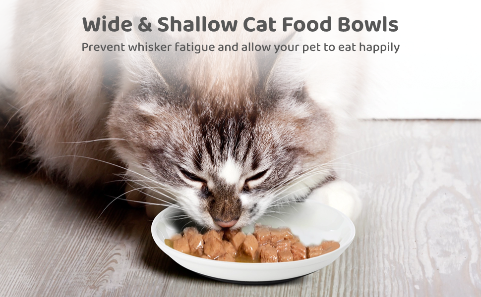 cat food bowls
