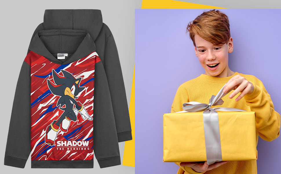 Sonic The Hedgehog Hoodie for Boys Teens
