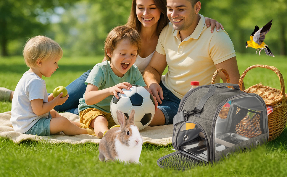 aplus content image