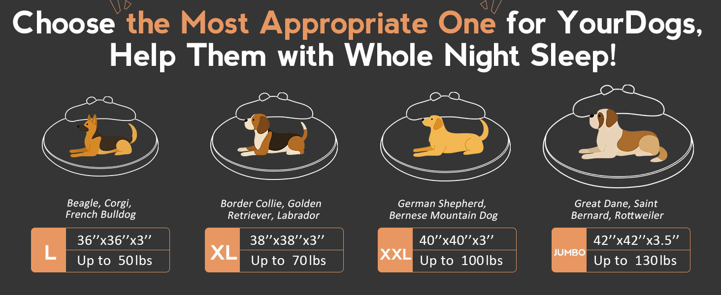 dog bed for large dogs