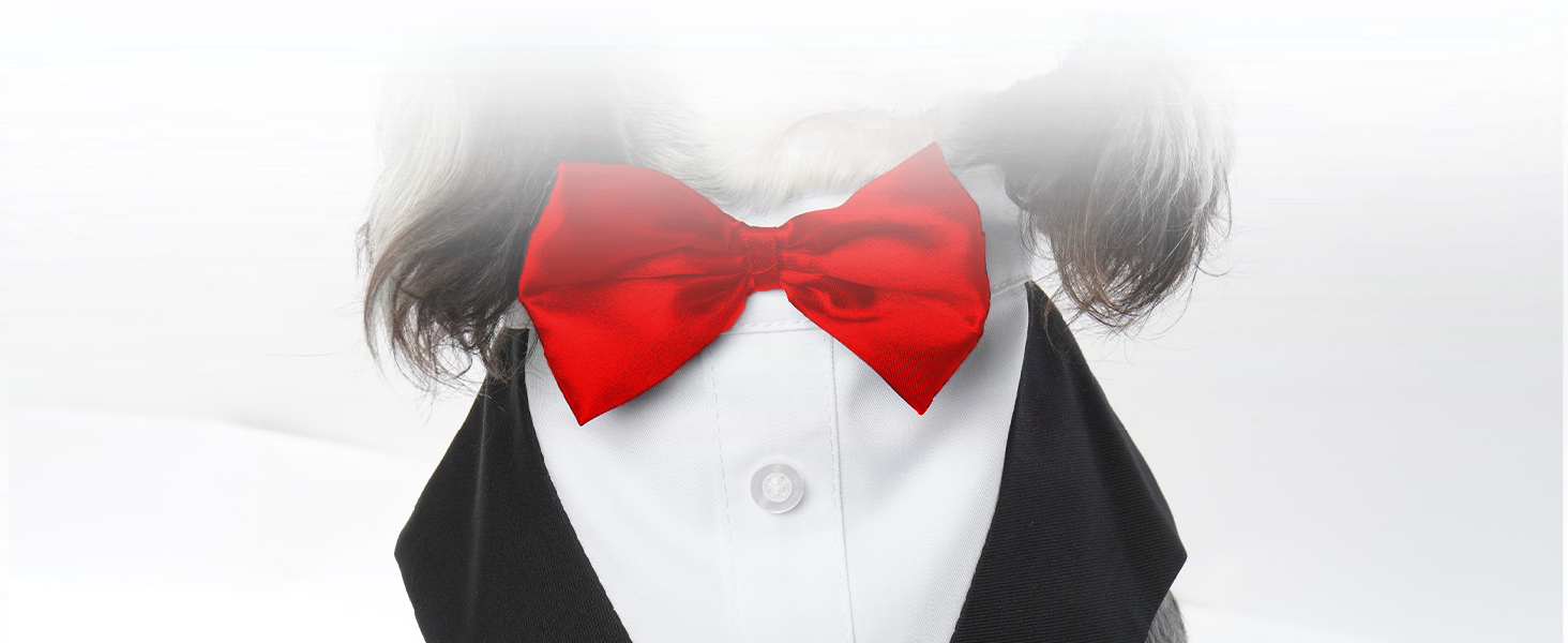 ful dog  dress set  multi color