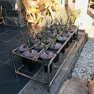 Small manufacture image 5