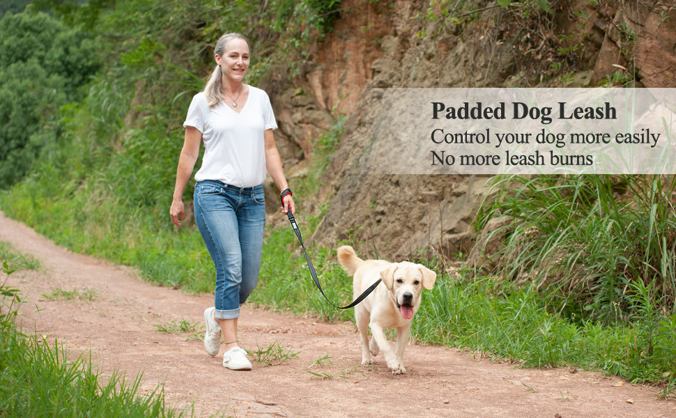 Vivaglory Dog Leash with Padded Handle, Heavy Duty 5ft Reflective Nylon