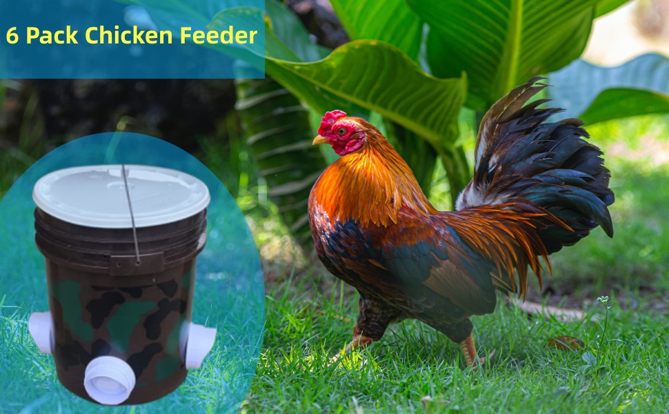 DIY Chicken Feeder No Waste Poultry Feeder Port Gravity