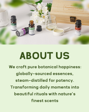Essential Oils for Diffusers for Home