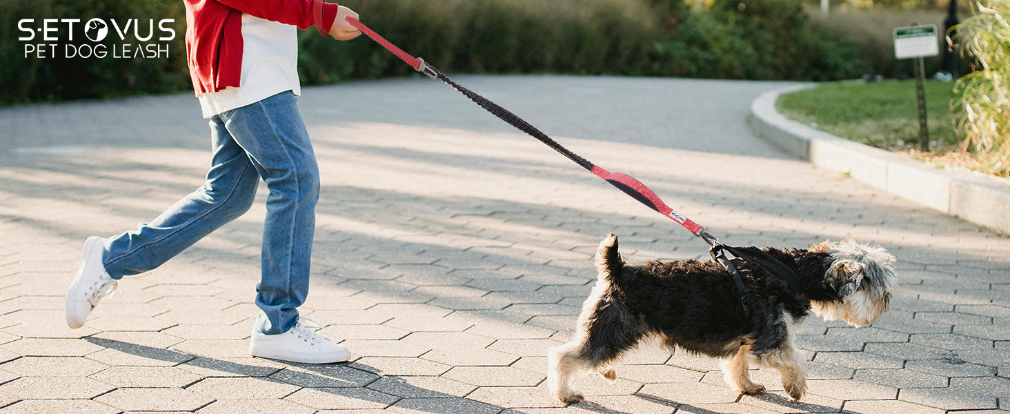 dog leash with two handles