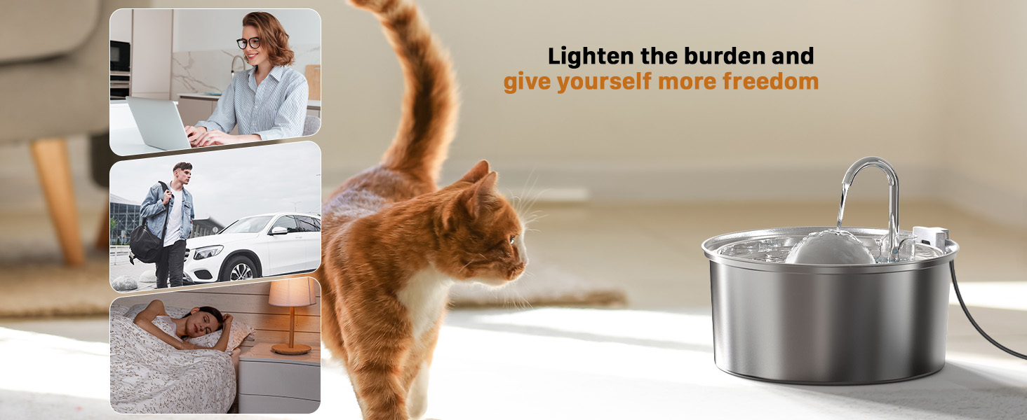 cat feeding & watering supplies automatic water dispenser for cats