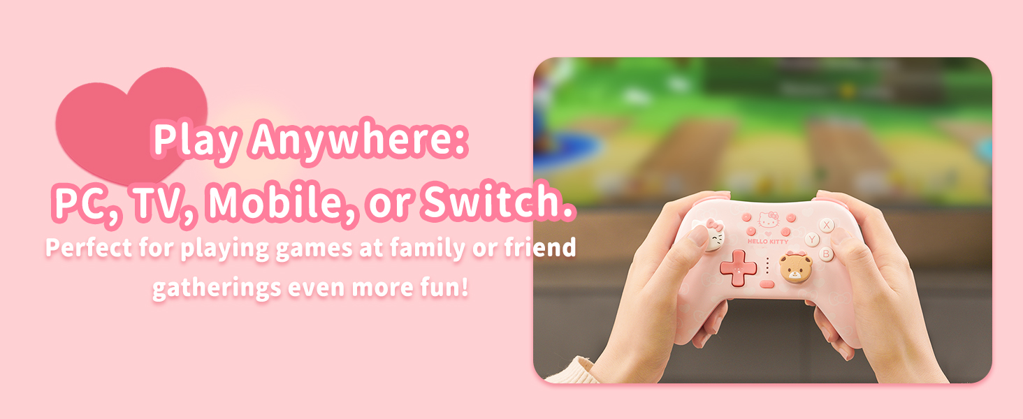 switch controller