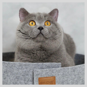 scratching board felt toy cat toy scratching toy