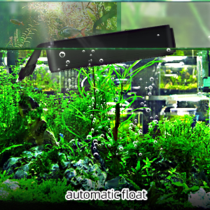 fish tank