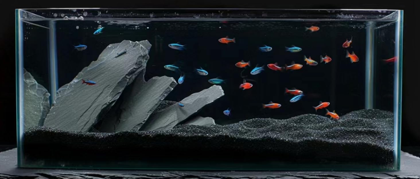 fish tank rock