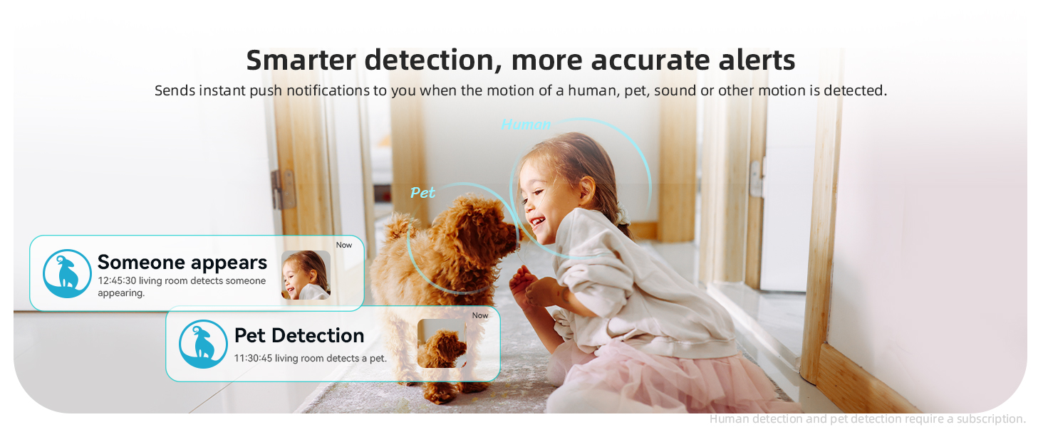 security camera with AI detecion
