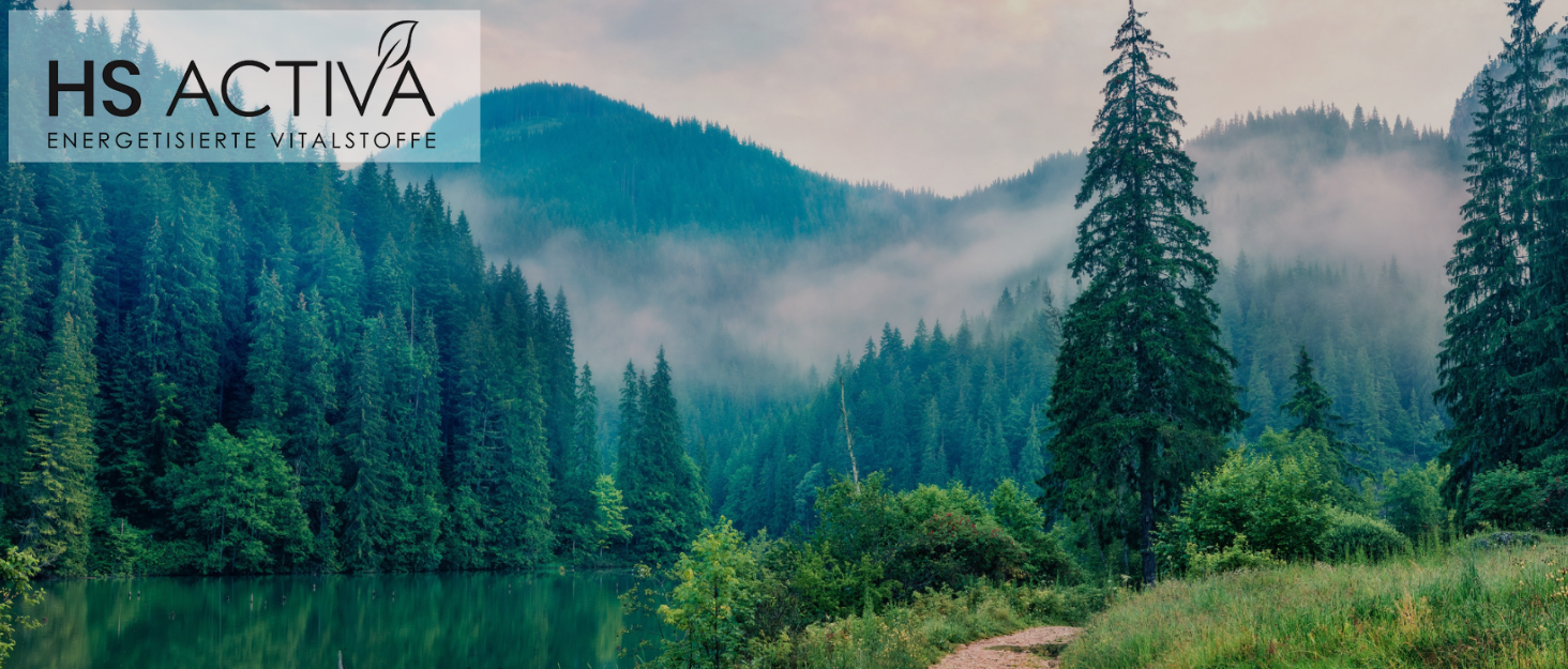 HS ACTIVA Background Brand Story