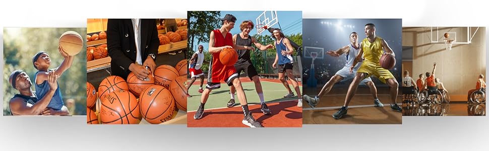 signed basketball display case