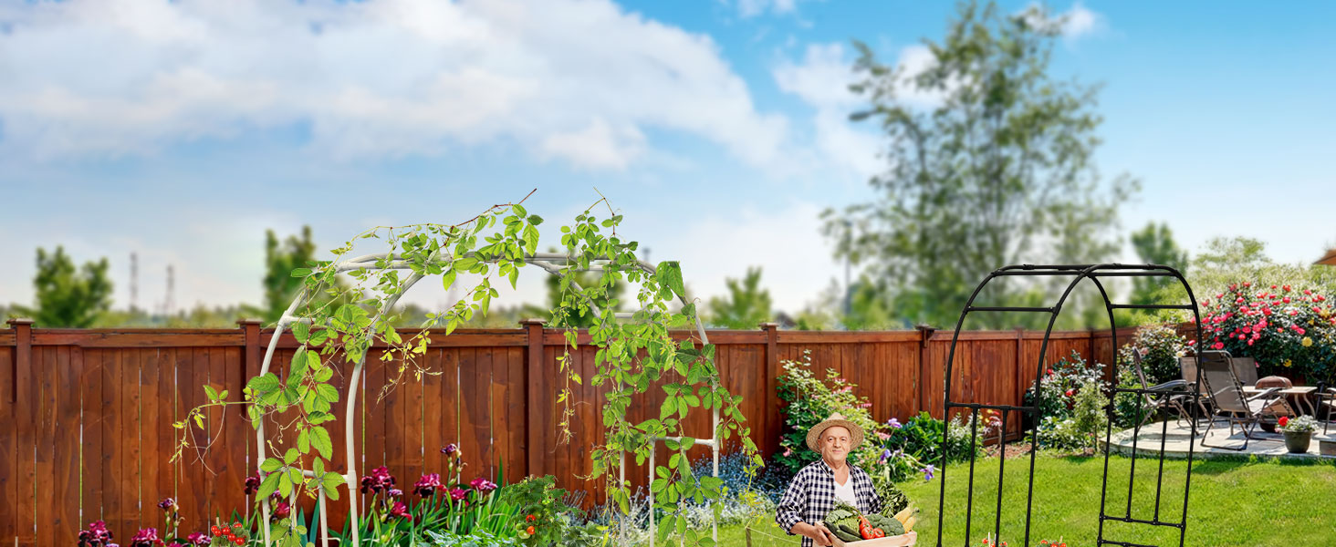 Arch Trellis