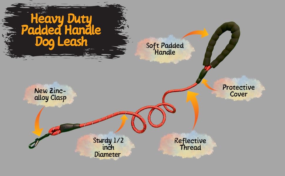 REEDEEMIT 5 FT Long, Heavy Duty Dog Leash with Padded