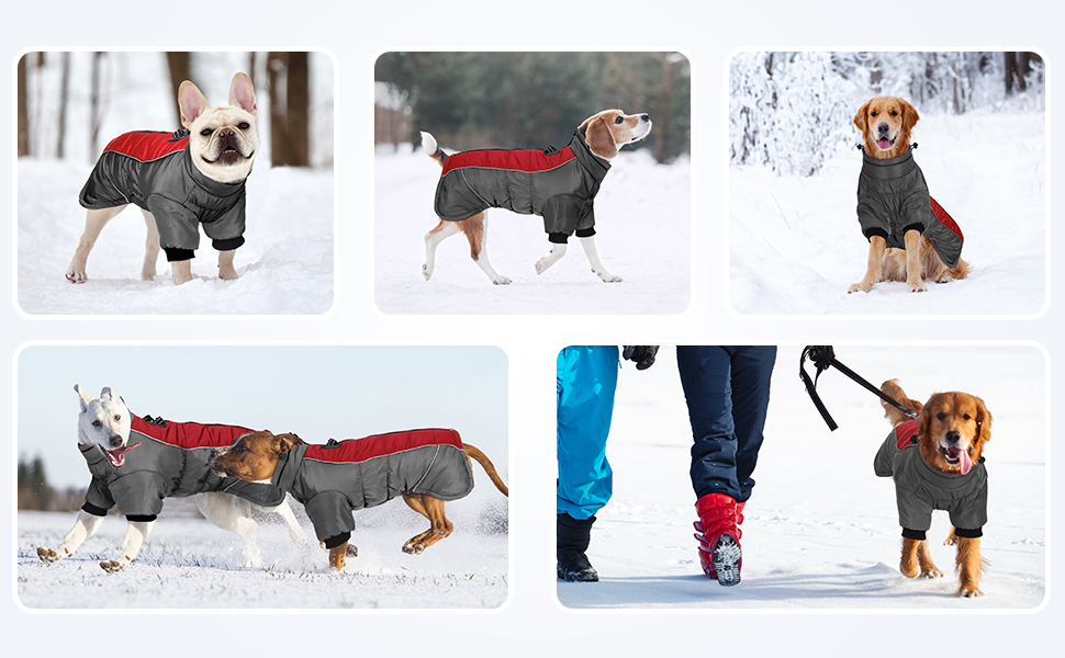 Woiil Dog Winter Jacket, Large Dog Coat Waterproof with Harness Dog