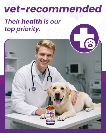 lignans and melatonin for dogs melatonin dog melatonin for puppies liquid melatonin for dogs