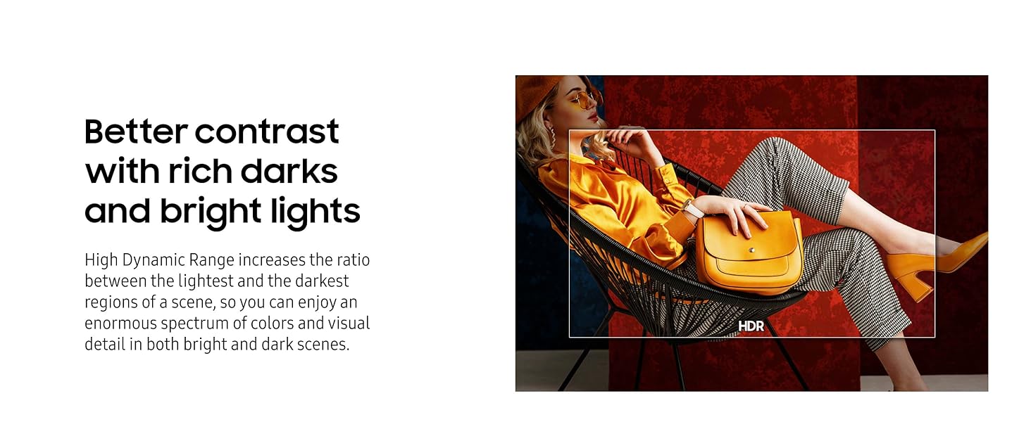 BEFX-H Series Business Pro TV