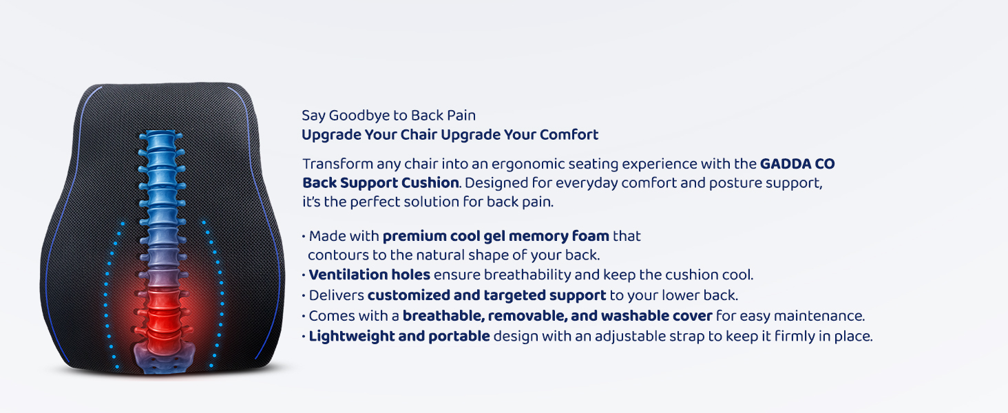 Back Rest Support for Back Pain Relief