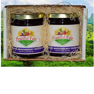 Raspberry Jam Jar Fruitful Fair