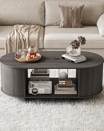Modern Oval Coffee Table