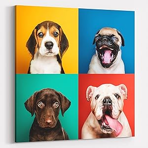 True to Color Materials