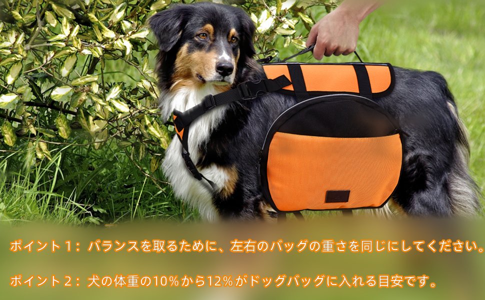 Amazon | Ownpets 犬用ハイキングリュック 大型犬用 サドル
