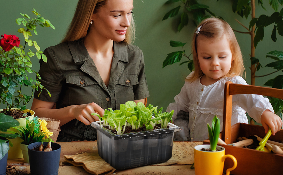 Self-Watering Seed Starter Tray