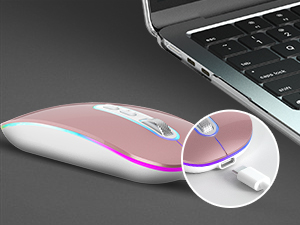 laptop mouse