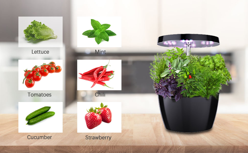 Hydroponische Anzuchtsysteme