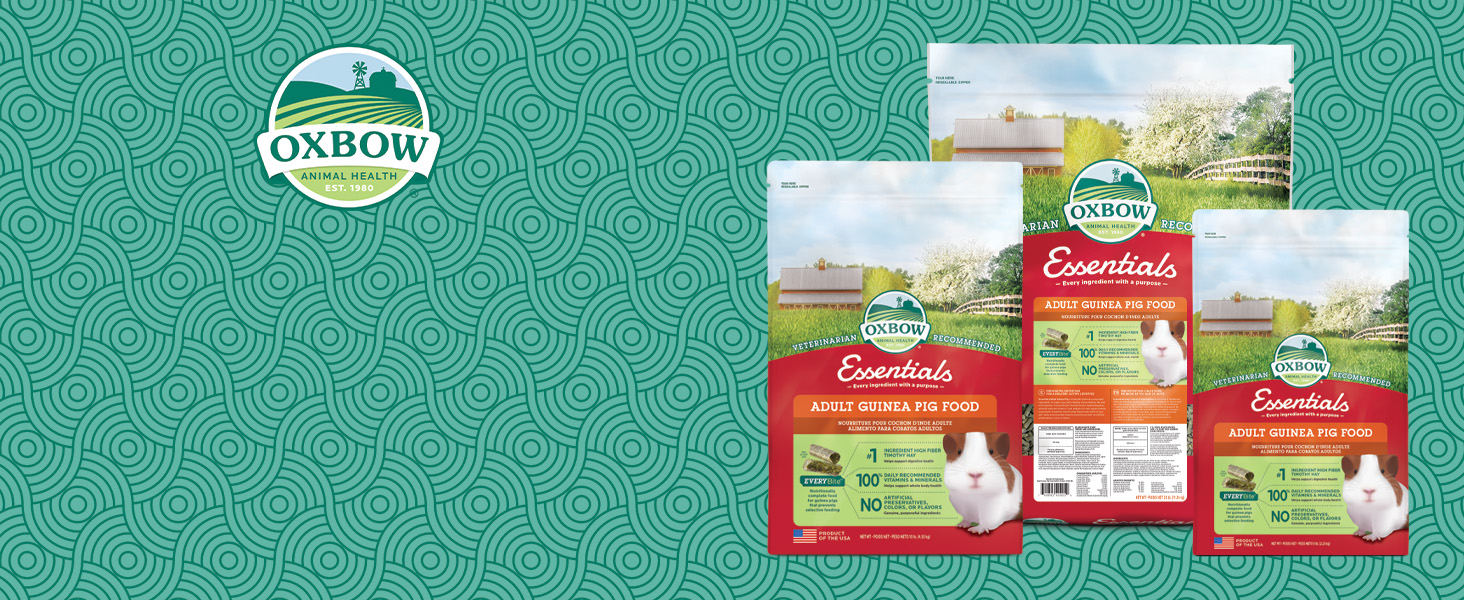 Adult guinea pig food, high fiber, Timothy hay, vitamin C, balanced diet, digestive health