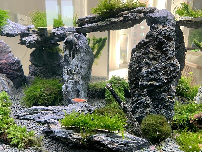 fish tank decor