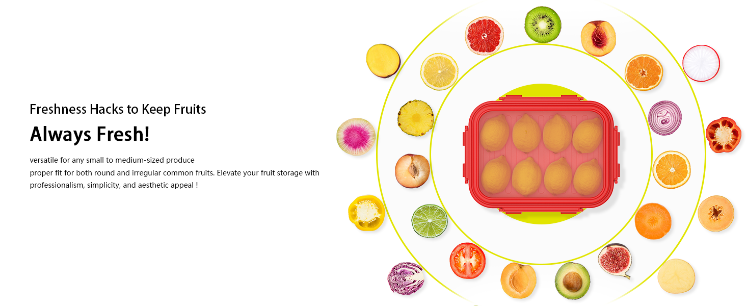 fruit storage containers for fridge