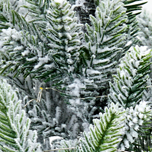 flocked christmas tree