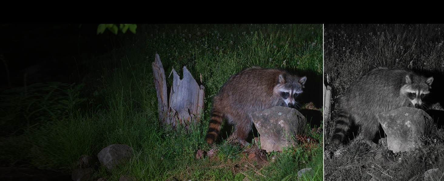 cameras for home security security cameras wireless outdoor outdoor camera wireless security camera