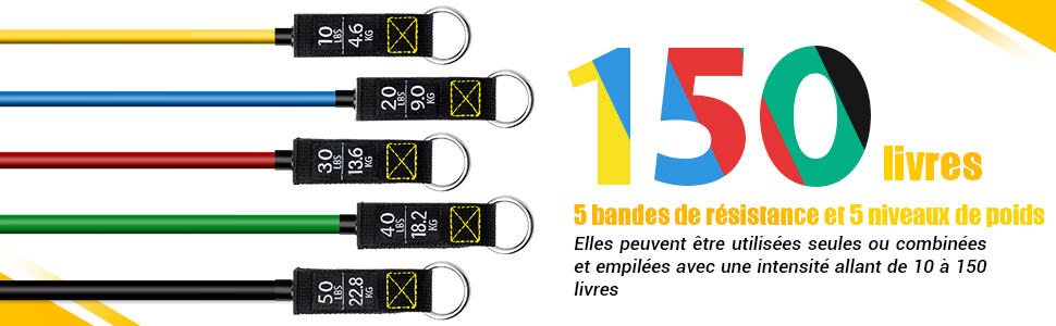 elastique musculation homme