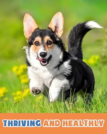 daily liquid collagen for cats dog liquid collagen liquid collagen for cats collagen sticks for dogs