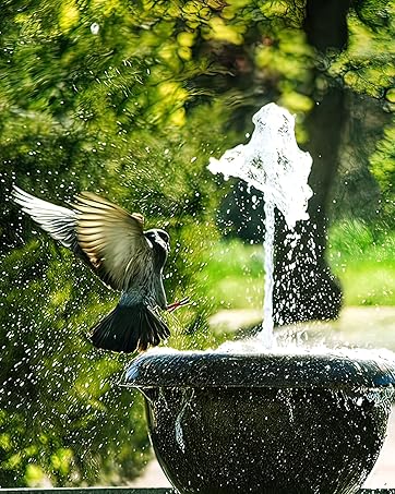 Biling Solar Water Fountain for Bird Bath, 2.5W Solar Powered Water Pump with 4ft Tubing DIY Water Features for the Garden, 6 Nozzles Solar Pond Pump for Hummingbird Bath, Small Pond and Fish Tank 14 c5719093 fa95 44d6 b4c8 c713e167950e. CR201,0,1598,2000 PT0 SX362 V1